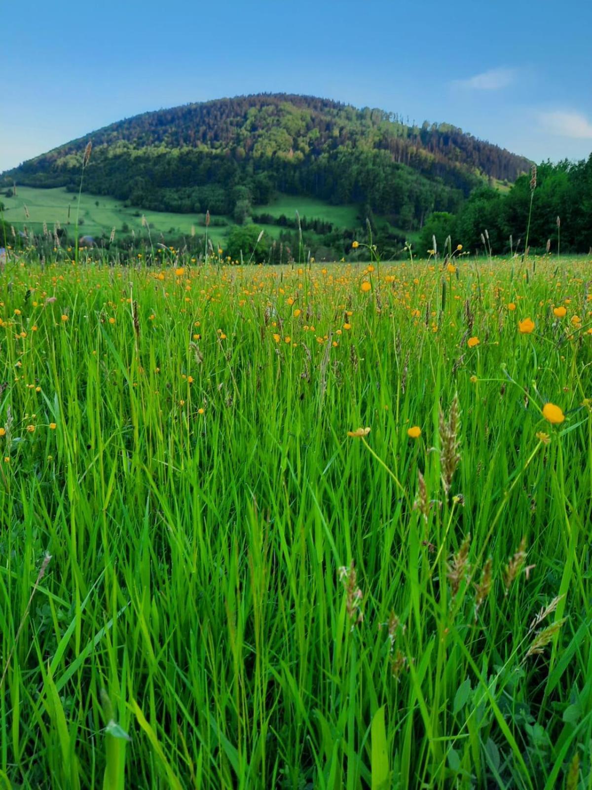 Domek Ostoja Lomnica  Экстерьер фото